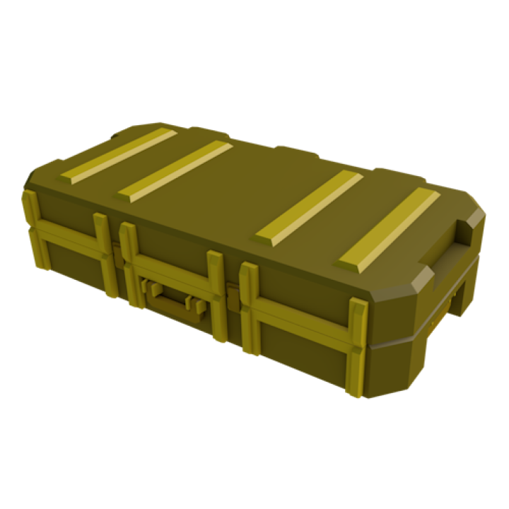 Skin Case 2 x3